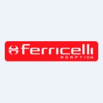 Fernando Parra, Diretor - Ferricelli